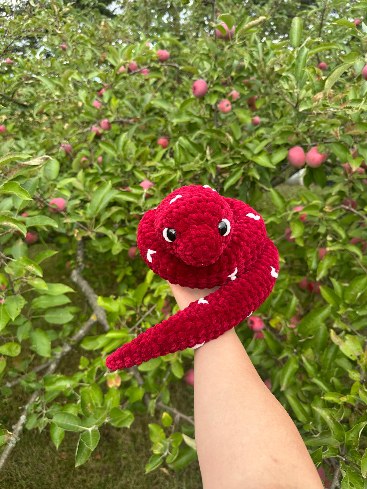 Snakey | Casual Cuddler